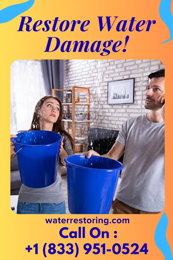 water restoration Modern Recovery Professionals El Portal